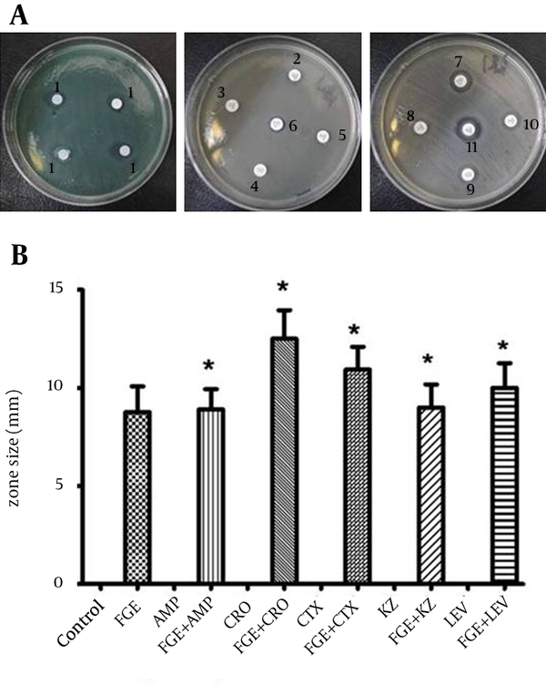 (A) Representative zones of antibacterial activity of FGE against P. aeruginosain vitro; 1, FGE; 2, CRO; 3, AMP; 4, KZ; 5, LEV; 6, CTX; 7, CTX; 8, AMP; 9, KZ; 10, LEV; 11, CRO. (B) The analysis of antibacterial activity  in vitro of FOX, LEV, CRO, KZ and AMP with and without FGE against P. aeruginosa. * P values of < 0.05 indicate significant difference from the respective antibiotic without FGE.