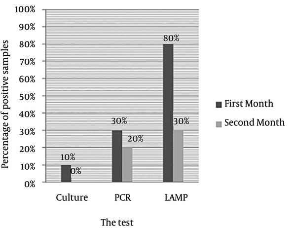 Comparing PCR, and LAMP Results of Coccoid Samples Culturing After 30 and 60 Days at 22°C