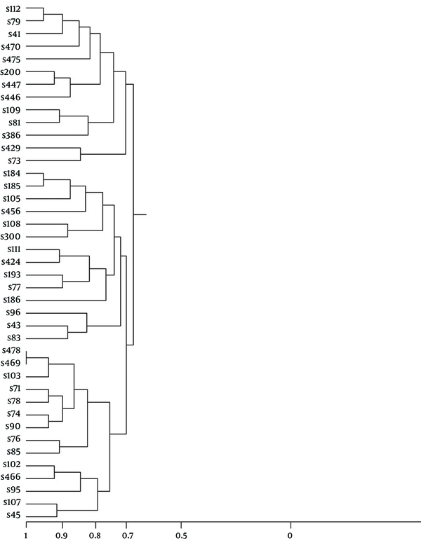 This figure was generated using the PFGE patterns of 41 S. sonnei isolates obtained from sporadic or outbreak cases during a period of six month from April to October 2003 in Shiraz, Iran. Similarities ranged from 70% to 100%.