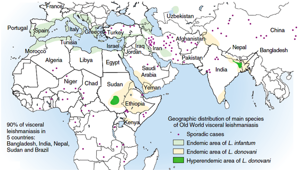 Distribution of Visceral Leishmaniasis (VL) in Europe, Asia, and Africa (7)