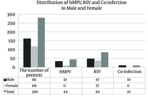 Distribution of Human Metapneumovirus, Respiratory Syncytial Virus, and Coinfection With Them in Male and Female Patients