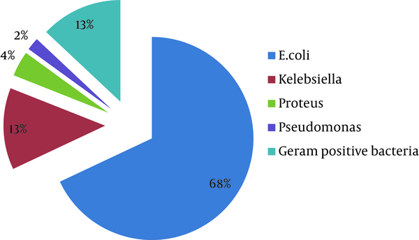 Distribution of the Different Bacteria Isolated From the Urine Samples