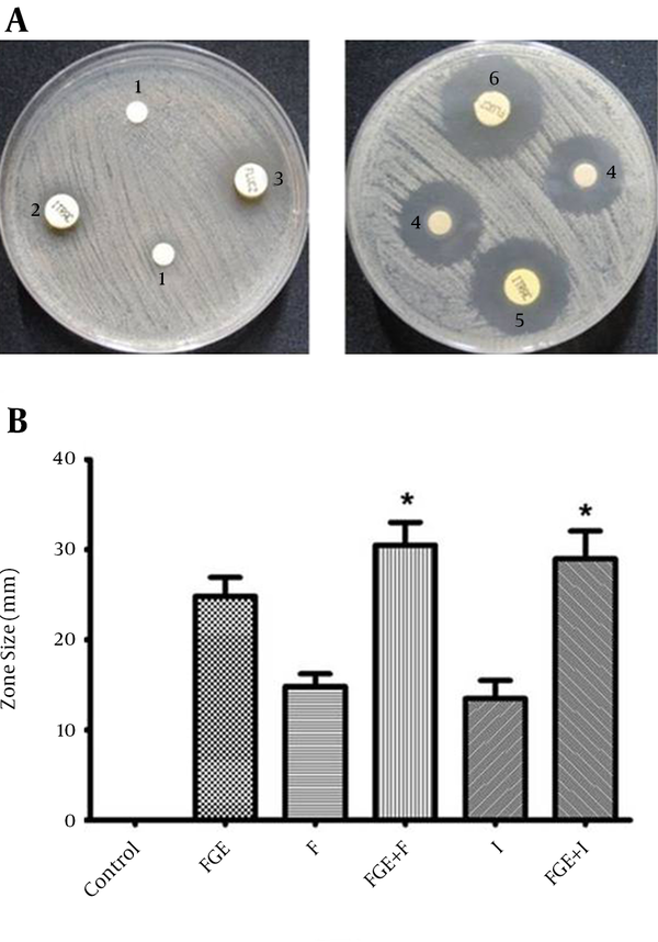 (A) Representative zones of antibacterial activity of F and I with and without FGE against C. albicans in vitro. 1, control; 2, I; 3, F; 4, FGE; 5, I + FGE; 6, F + FGE. (B) The analysis of antibacterial activity of F and I with and without FGE against C. albicansin vitro. * P value of < 0.05 indicates a significant difference from the respective antibiotic without FGE.