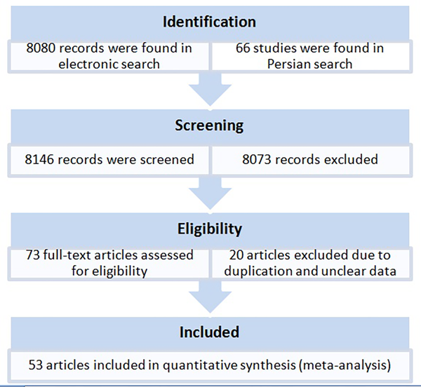 Flow Chart of Literature Search for Original Articles in English and Persian Reporting HCV Genotypes and Subtypes From Provinces and Cities of Iran