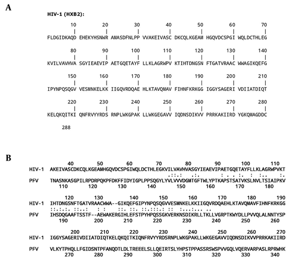 A, Wild-type HIV-1 integrase sequence in FASTA format obtained from the http://www.bioafrica.net/ website; B, sequence alignment results for wild-type HIV-1 and PFV integrase obtained from the http://fasta.bioch.virginia.edu/ Server.