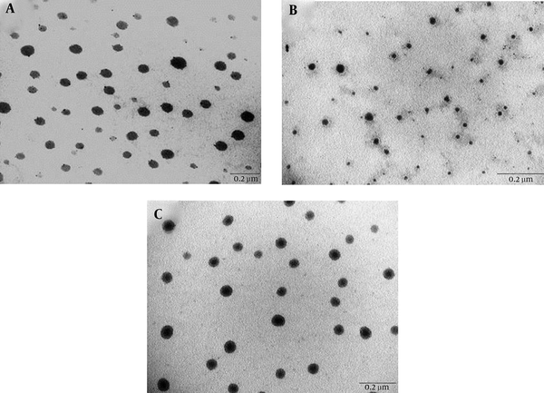 Transmission Electron Micrographs of (a) MEa, (b) MEb, and (c) MEc