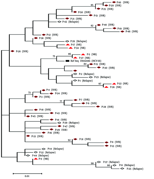 Phylogenetic Tree Based on the Core Amino Acid Sequences (Codons 1 - 122) Obtained From Pre-Treatment Plasma of Responders (Indicated as SVR), Non-Responders (NR) and Relapsers, Aligned With the HCV-1b Reference Genome (GenBank Accession Number D90208)