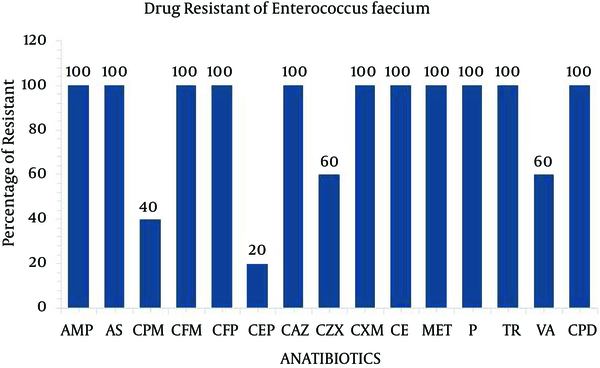 Drug Resistance Pattern of Enterococcus faecium