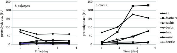 Production of Caseinolytic Proteases During Growth of B. polymyxa and B. cereus in the Presence of Different Keratins