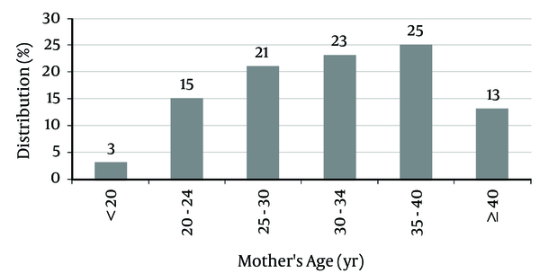 Mothers’ Age Distribution at Birth Time of the Subjects