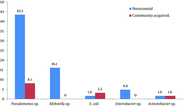 Percentage of Hospital Acquired and Community Acquired AmpC Producing Organisms