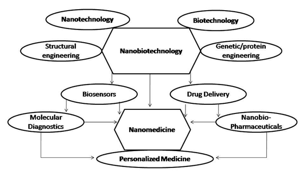 The Association of Biotechnology and Nanotechnology and Emerge of Nanobiotechnology