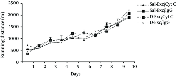 Data are expressed as the mean ± SEM. The average distance during running (m) after ten days of voluntary exercise did not differ significantly between the exercising groups.