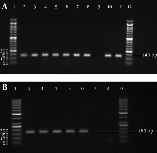 A) glyRS gene of M. catarrhalis strains. Lanes 2-8, isolated strains; lane 9, negative control; lanes 10-11, standard strains; lanes 1 and 12; 50 bp DNA marker. B) pdhC gene of N. lactamica strains. Lane 2, standard strain; lanes 3-6, isolated strains; lanes 7-8, negative controls; lanes 1 and 9, 50 bp DNA marker