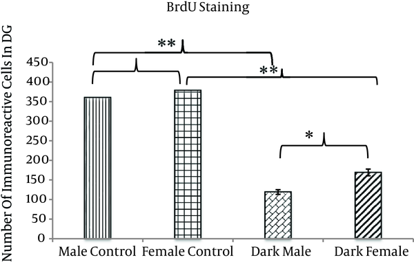 The number of BrdU positive neurons in the DG is significantly lower in dark males and females as compared with control groups. The difference between the two trial groups is significant, with the number of BrdU positive neurons in dark male animals significantly lower than in dark female animals. There is a nonsignificant difference between the two control groups, with the number of BrdU positive neurons in male control animals nonsignificant and lower than in female control animals (*P &lt; 0.05) (**P &lt; 0.01).