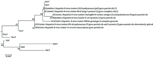 Phylogenetic Analysis of the HBV Isolates Circulating Among the HIV/HBV Co-Infected Population in Iran