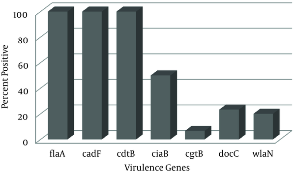 Prevalence of Virulence Genes in Campylobacter jejuni Recovered From Clinical Isolates