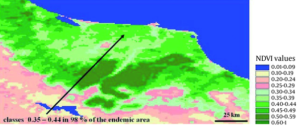 NDVI Satellite Image Showing Greening Index in Epidemic Area
