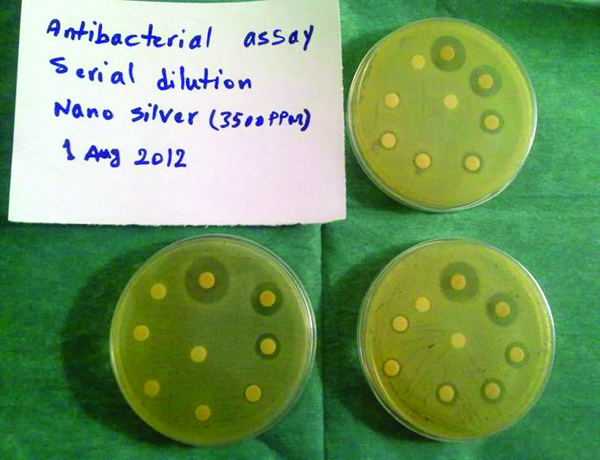 Antibacterial Disk Diffusion Test for Antibiotics