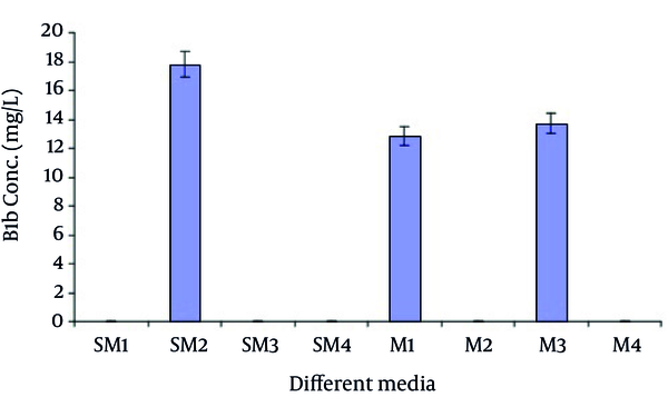 Effect of Different Media on Production of B1b in Submerged Fermentation
