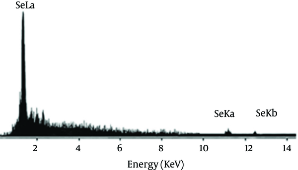 Energy-dispersive X-ray images of purified Se NPs