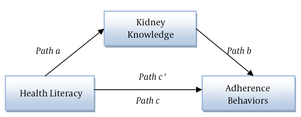 Path a represents the effect of the predictor on the mediator; path b represents the effect of the mediator on criterion variable; path c represents the direct effect of the predictor on criterion variable; and path c’ represents the indirect effect of the predictor on criterion variable.
