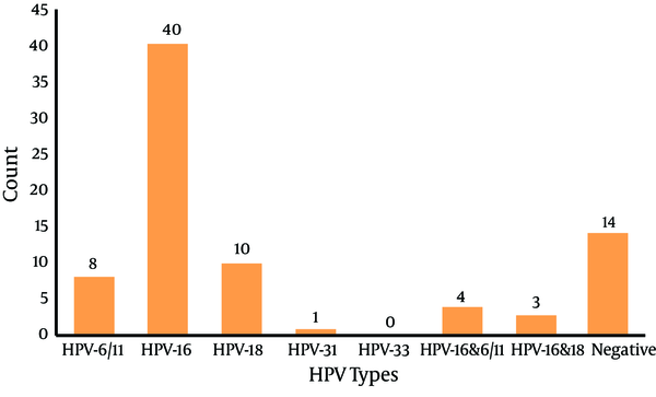 The most prevalent types of HPV in cervical cancer samples were high-risk HPV types 16 and 18. Concurrent infection was detected in seven samples (10.6%).