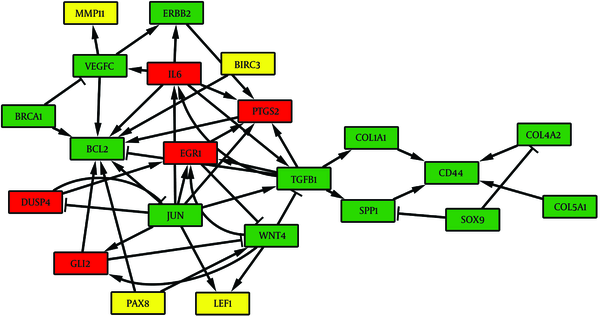 The common genes between chronic HCV and HCC networks are shown in the green color boxes. The red and yellow boxes represent chronic HCV and HCC specific genes, respectively.