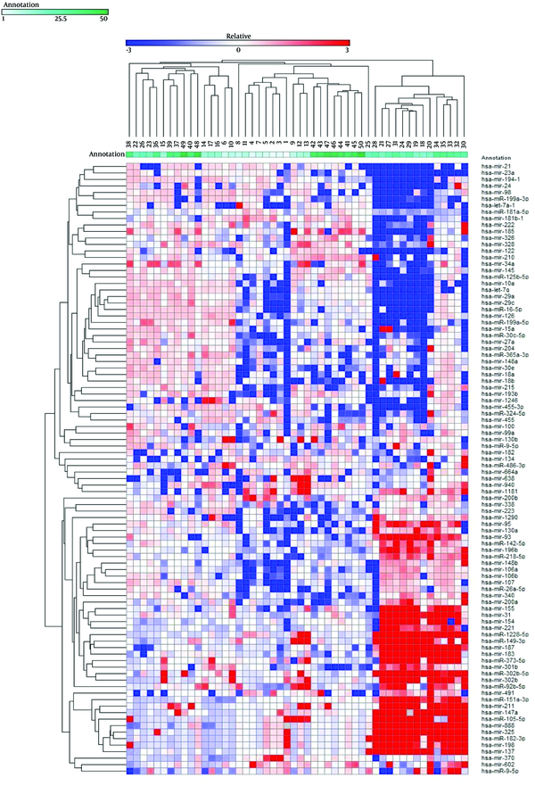 The diagram represents 94 miRNAs’ expression profiling in 50 HCV patients. Each column represents a sample and each row shows the fold change of each miRNA in comparison to the average of normal samples. The differential regulation is indicated by red for up-regulated genes and blue for the down-regulated ones.
