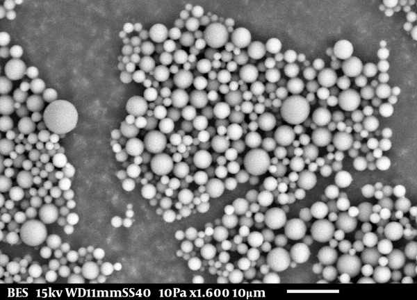 SEM Image of 0.25% (w/v) Chitosan Microspheres Loaded With Ciprofloxacin and Observed at 1600 X Magnification