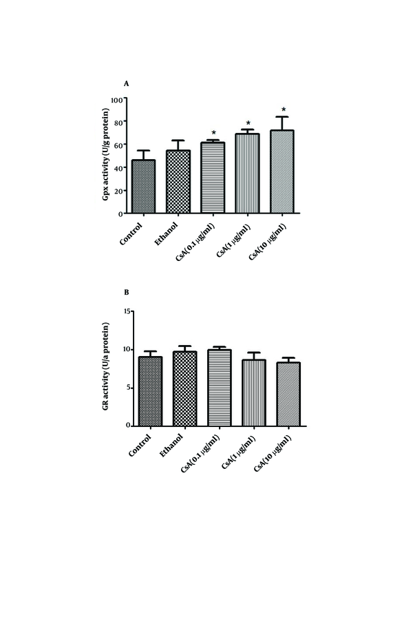 The effect of CsA on the activity of (A) glutathione peroxidase and (B) glutathione reductase in HepG2 cultured cells. HepG2 cells were incubated with 0, 0.1, 1 and 10 µg/ml of CsA and maximal ethanol concentration was used to solubilize and dilute CsA as vehicle, for 72 h. Data are presented as mean ± SEM. Sample size (n = 4), P&lt;0.05 for significant change as compared to the control (no treatment).
