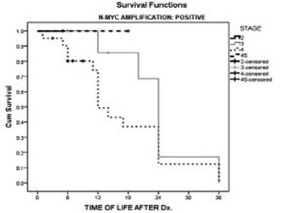 Kaplan-Meier Survival Curve in Patients With N-myc Amplification Based on the Stage of the Tumor