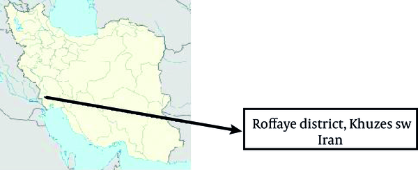 Roffaye district, Khuzestan, South-West Iran (31° 35′ 45″ N, 47° 53′ 41″ E)