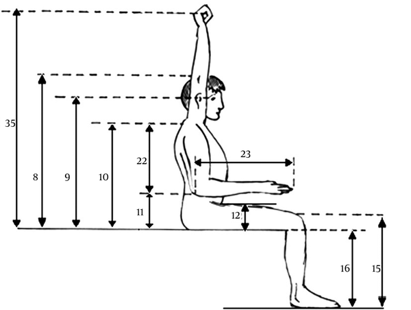 Body Measurements in the Sitting Position (2)