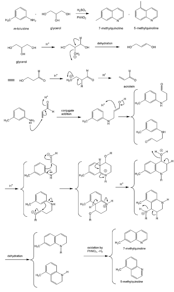 Mechanism of Skraup Synthesis of 7- and 5-methylquinoline (45, 46)