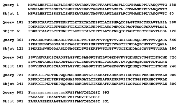 Alignment of Amino Acids Sequence of T. gondii SAG1 Fragment Compared with Amino Acid Sequence of SAG1 Accession Number AFO54881.1, AFO54884.1, AFO54882.1 and ACT64636.1 Respectively