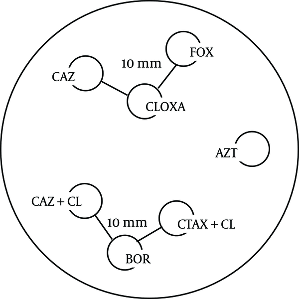 FOX: Cefoxitin, CLOXA: Cloxacillin, CAZ: Ceftazidim, CAZ+CL: (Ceftazidim +Clavulanic Acid), CTAX+CL: (Cefotaxime+Clavulanic Acid), BOR:Boronic Acid (7). 