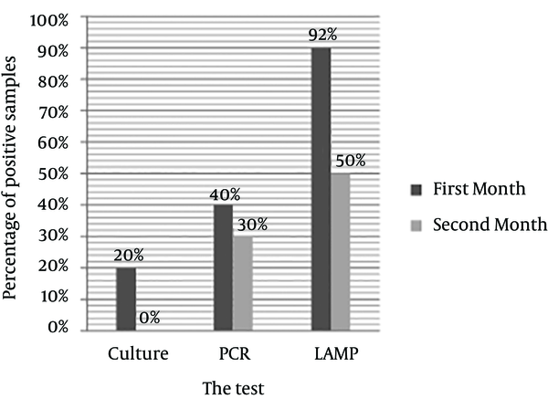 Comparing PCR, and LAMP Results of Coccoid Samples Culturing After 30 and 60 Days at 37°C
