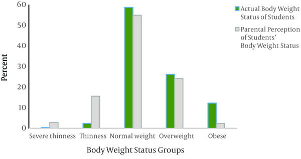 Percentages of Students in Body Weight Status Groups According to Actual Body Weight Status of the Students and Parental Perception of Students’ Body Weight Status