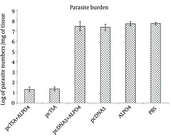 Parasite burden in the spleen was calculated as –log10 (parasite dilution/tissue weight).