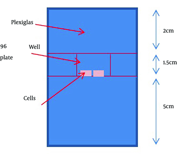 Schematic Cross-Section of the Cell Irradiation Phantom