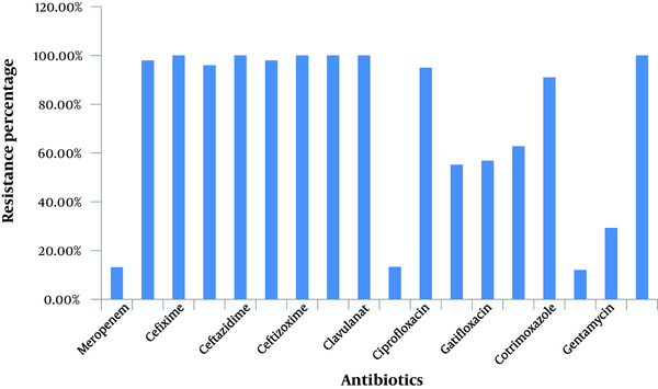 Resistance Percentage of A. baumannii to the Examined Antibiotics