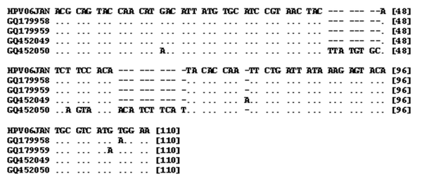 Sequence Alignment of the Four Detected Sequences (Accession Numbers GQ179958, GQ179959, GQ452049, GQ452050) Against Prototype HPV (Accession Number EU911303) (EMBL, European Bioinformatics Institute, WU-BLAST-2)