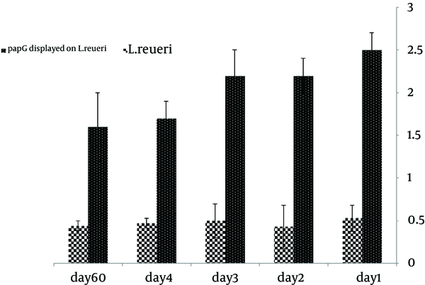 ELISA results for PapG displayed on the surface of L. reuteri versus untreated L. reuteri revealed that the OD of surface-displayed L. reuteri was higher than that of the negative control, indicating the presence of PapG on the surface of L. reuteri.