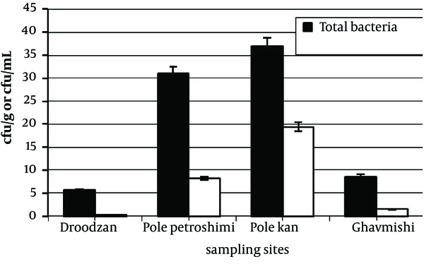 Distribution of the Total and Mercury Resistant Bacteria in the Sampling Sites