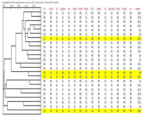 Dendrogram derived from UPGMA clustering of the Phene Plate Typing Data of 24 bile and acid resistant Lactobacillus brevis isolates from chicken