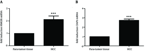 (A) qRT-PCR analysis of HMGB1 mRNA. The expression of HMGB1 mRNA was 2.209 fold higher in HCC tissue than paired para-tumor tissue (t = 5.976, P &lt; 0.01), (B) qRT-PCR analysis of c-IAP2 mRNA. The expression of c-IAP2 mRNA was 2.769 fold higher in tumor tissue than paired para-tumor tissue samples (t = 9.507, P &lt; 0.01). Data are expressed as mean ± SD from three independent experiments. *** P &lt; 0.01 compared to the para-tumor tissue samples.