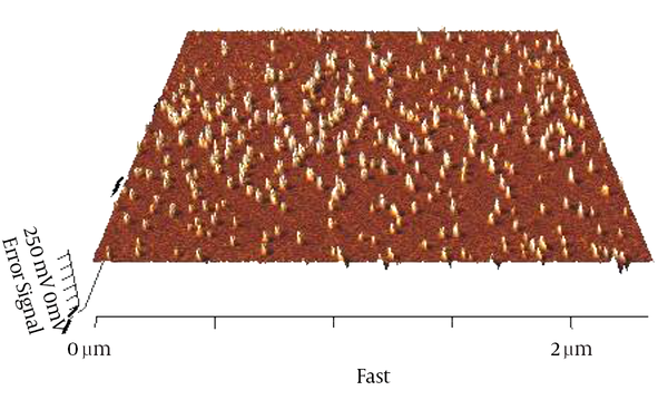 Three-Dimensional Graph of AFM Nanoparticles