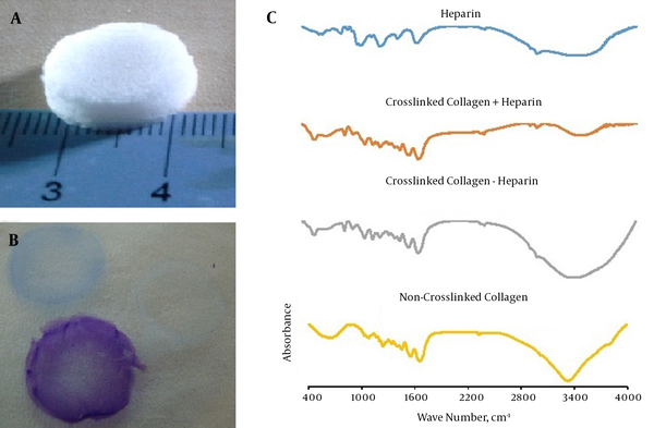A sample of the fabricated sponge (A); toluidine blue staining, the purple color indicates the presence of heparin. Non-heparinized sponge stained blue (B); FTIR of heparin (blue), the crosslinked heparinized collagen sponge (orange), non-heparinized collagen sponges (gray) and non-crosslinked collagen sponges (yellow); the spectra of crosslinked heparinized collagen indicated that crosslinking had occurred (C).