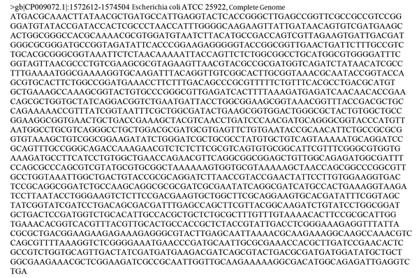 The Translated Protein of the Sequence of ATCC 25922 without Mutations in parE